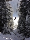 Parcul de aventura Balu - Harghita Bai Incepe aventura Balu