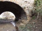 Podul lui Stefan cel Mare Copacul Podul Stefan cel Mare