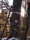 Stanca cu brazi - Stogul de piatra Reper Stanca brazi Stogul piatra
