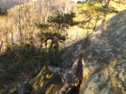 Stanca cu brazi - Stogul de piatra Simbioza Stanca brazi Stogul piatra