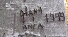 Trei Caldari #NAME? Cozla Trei Caldari
