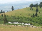 Omul si natura Omul si natura