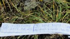 Geo Negoiu - Muntii Fagaras Jurnal Negoiu