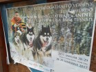 Baia Saracilor - Baile Tusnad Panou informativ la intrare tusnad competitie atelaje canine